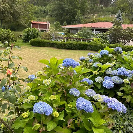 Quinta De Sao Martinho - Casa Visconde *